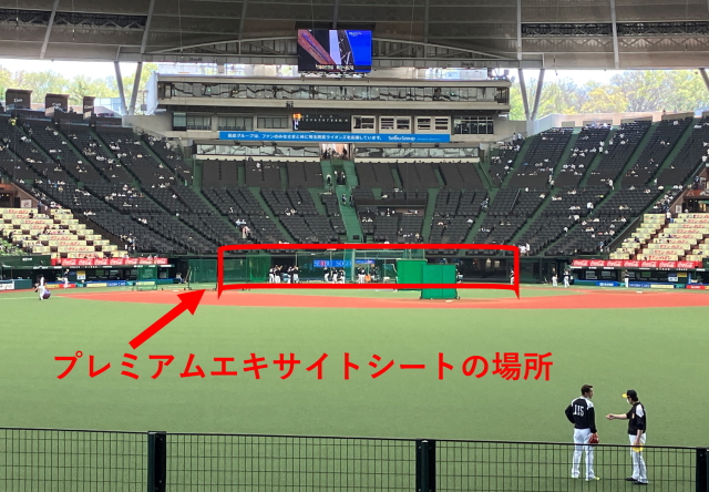 プレミアムエキサイトシートの場所